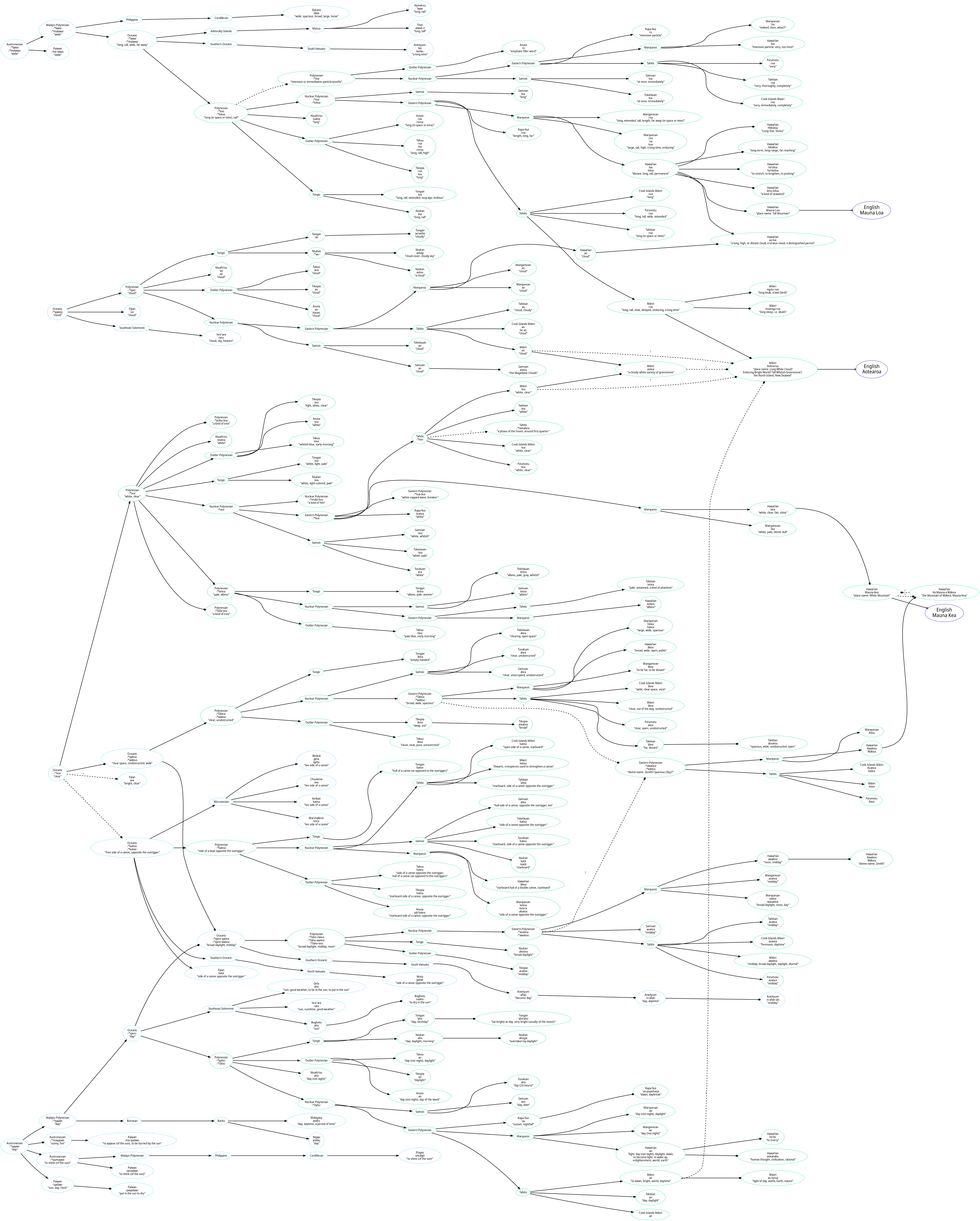 Image is a visual representation of the text content above.