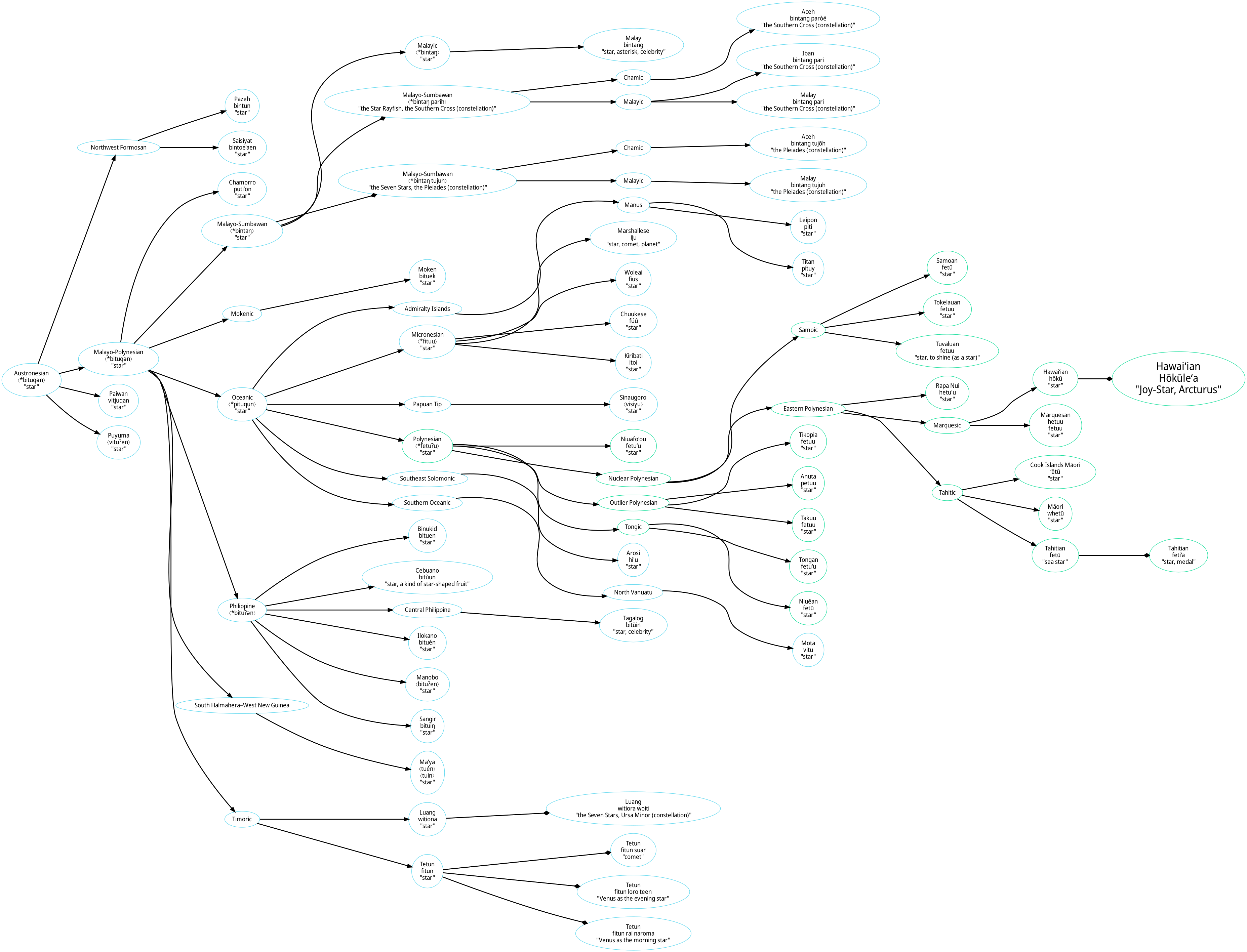 Image is a visual representation of the text content above.